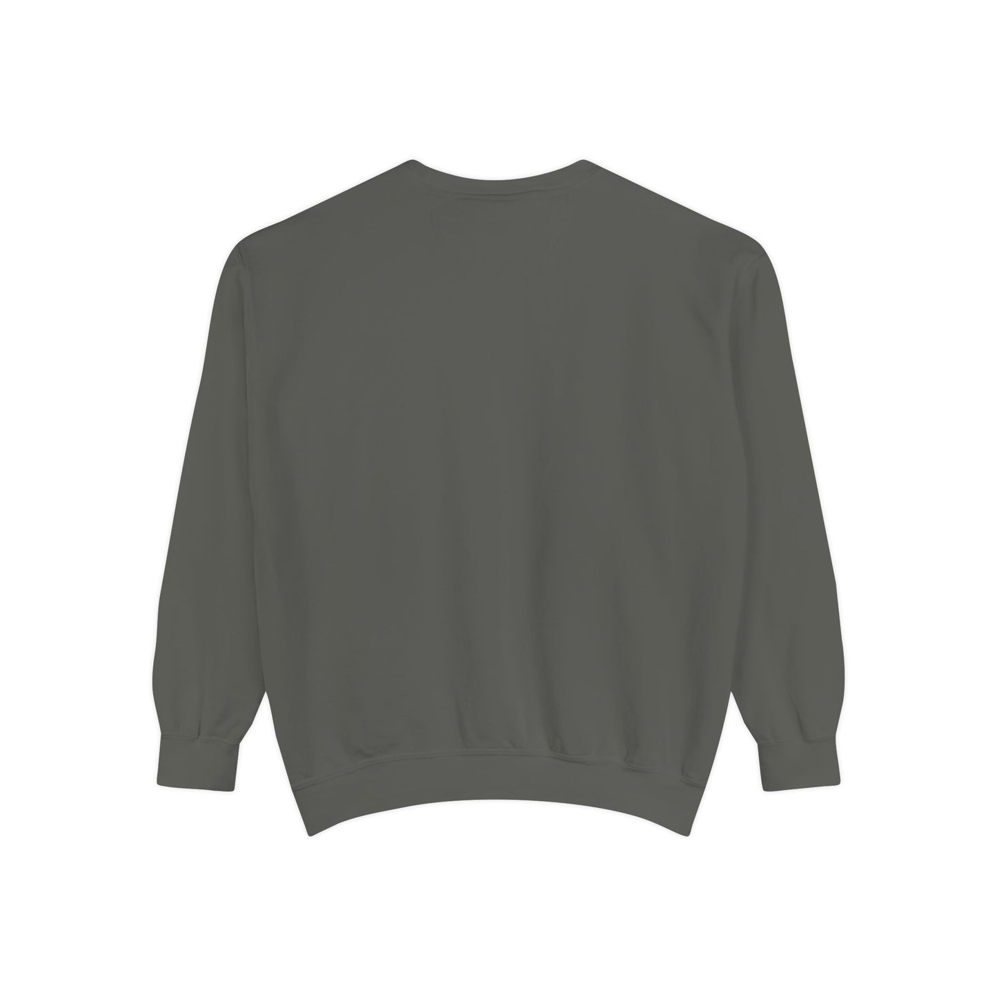 Basgiath War College Sweatshirt – Fourth Wing | Dragon Rider | Riders Quadrant