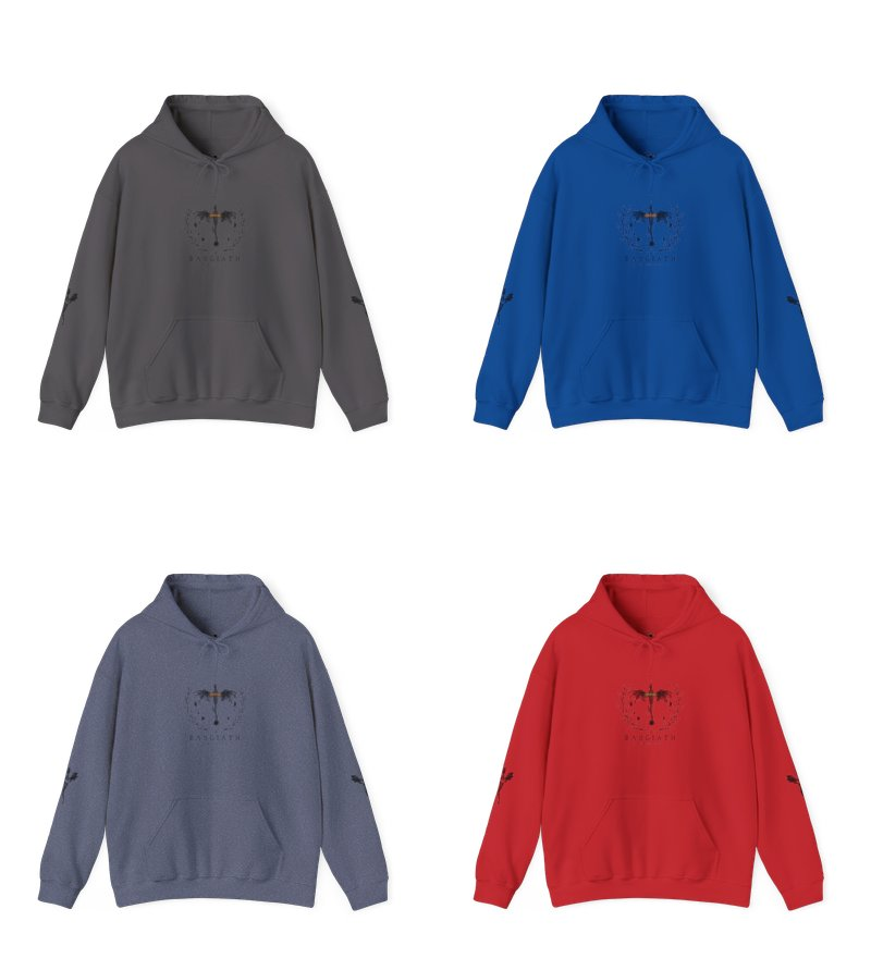 Basgiath War College Hoodie – Fourth Wing | Dragon Rider | Riders Quadrant